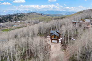 Bird's eye view of a mountain backdrop