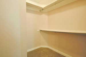 Walk in closet featuring carpet