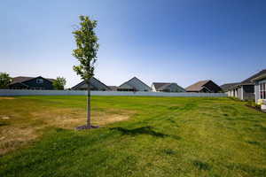View of yard featuring a residential view