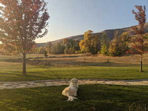 View of mountain background featuring rural landscape