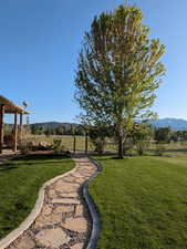 View of green lawn with a mountain view