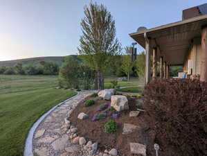View of green lawn
