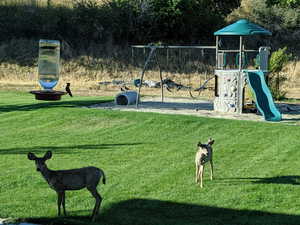 Community playground with a yard
