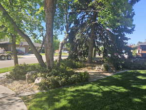 Photo 8 of 5235 S SPRING CLOVER DR