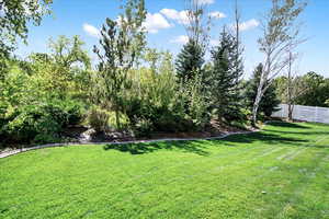 Photo 22 of 1843  SHOSHONE DR