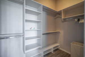View of walk in closet