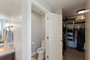 Bathroom featuring vanity, toilet, and a walk in closet