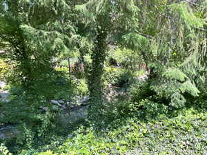 View of undeveloped land