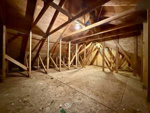 View of unfinished attic