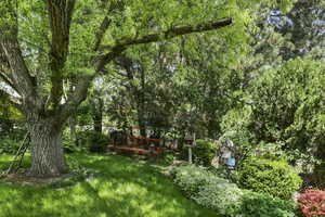 View of green lawn