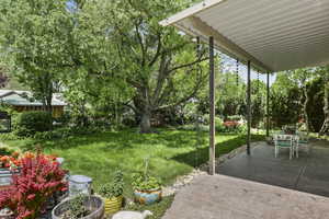View of green lawn featuring a patio area, view of wooded area, and outdoor dining area