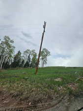 View of local wilderness