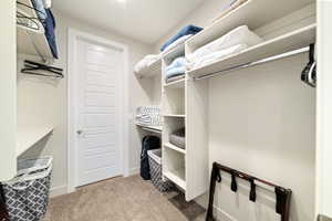 Walk in closet with carpet