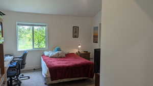 Carpeted bedroom featuring baseboards and vaulted ceiling