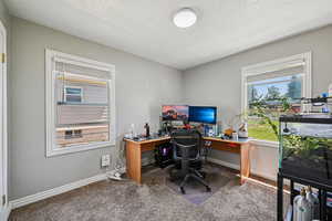 Office featuring carpet floors, baseboards, and a textured ceiling