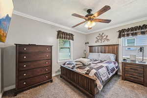 Bedroom featuring multiple windows, carpet, crown molding, a textured ceiling, and a ceiling fan