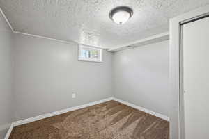 Below grade area with carpet, a textured ceiling, and baseboards