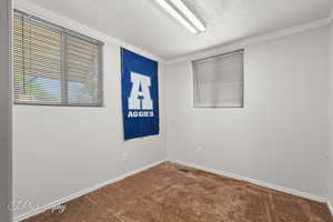 Unfurnished room featuring carpet, a textured ceiling, baseboards, and ornamental molding