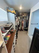 Spacious closet featuring light colored carpet