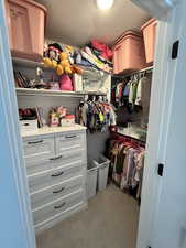 Spacious closet featuring carpet floors