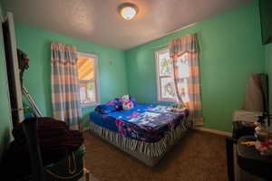 Bedroom featuring multiple windows, a textured ceiling, carpet, and baseboards