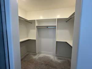 Walk in closet featuring elevator