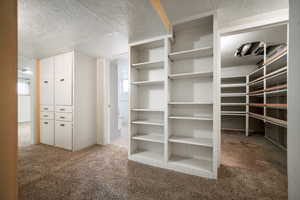 Lower hall with shelves and 2nd storage room