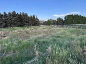 View of yard with a rural view