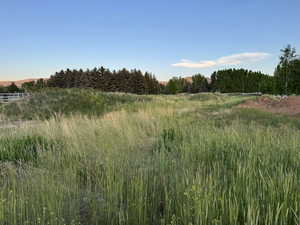 View of local wilderness featuring rural landscape