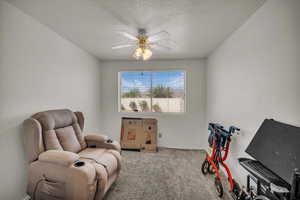 Living area featuring ceiling fan, carpet, a textured ceiling, and baseboards