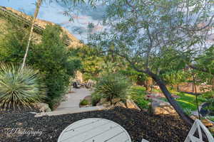 View of yard featuring a patio area