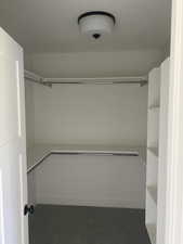 Spacious closet featuring carpet floors