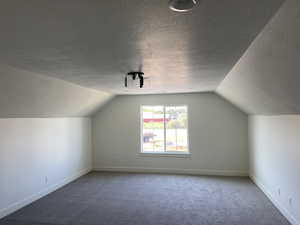 Additional living space with a textured ceiling, vaulted ceiling, baseboards, and carpet