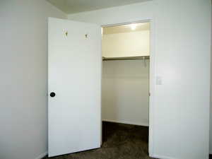 Walk-in closet in the primary bedroom