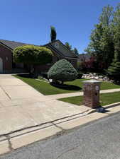 Obstructed view of property with a front yard and brick siding
