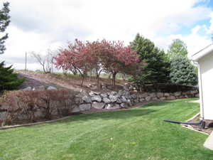 View of grassy yard