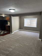 Unfurnished living room featuring a sink, carpet flooring, a textured ceiling, and baseboards