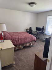 Bedroom featuring carpet floors and an office area