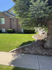 View of grassy yard