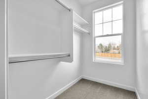Spacious closet featuring carpet floors