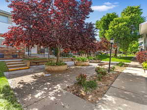 View of property's community