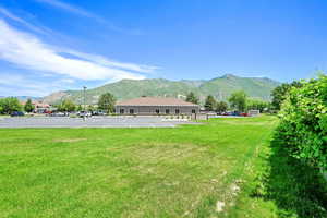 View of mountain background