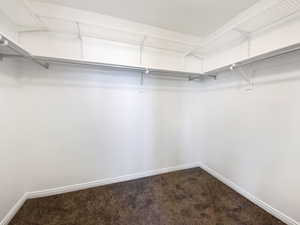 Walk in closet with dark colored carpet