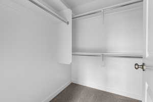 Walk in closet with carpet floors