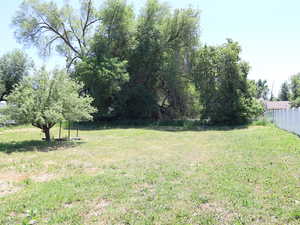 View of yard, lopking South