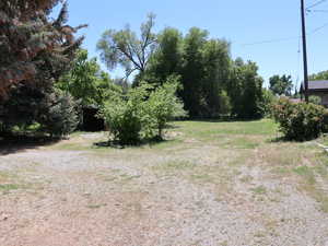 Back of lot