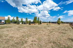 View of yard with a view of rural / pastoral area and an outdoor structure