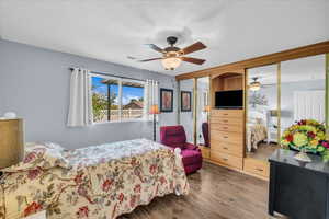 Bedroom featuring multiple closets, wood finished floors, and ceiling fan