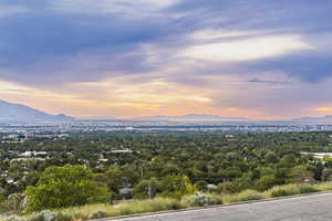 Photo 5 of 1985 S SCENIC DR