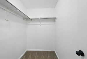 Spacious closet featuring carpet flooring
